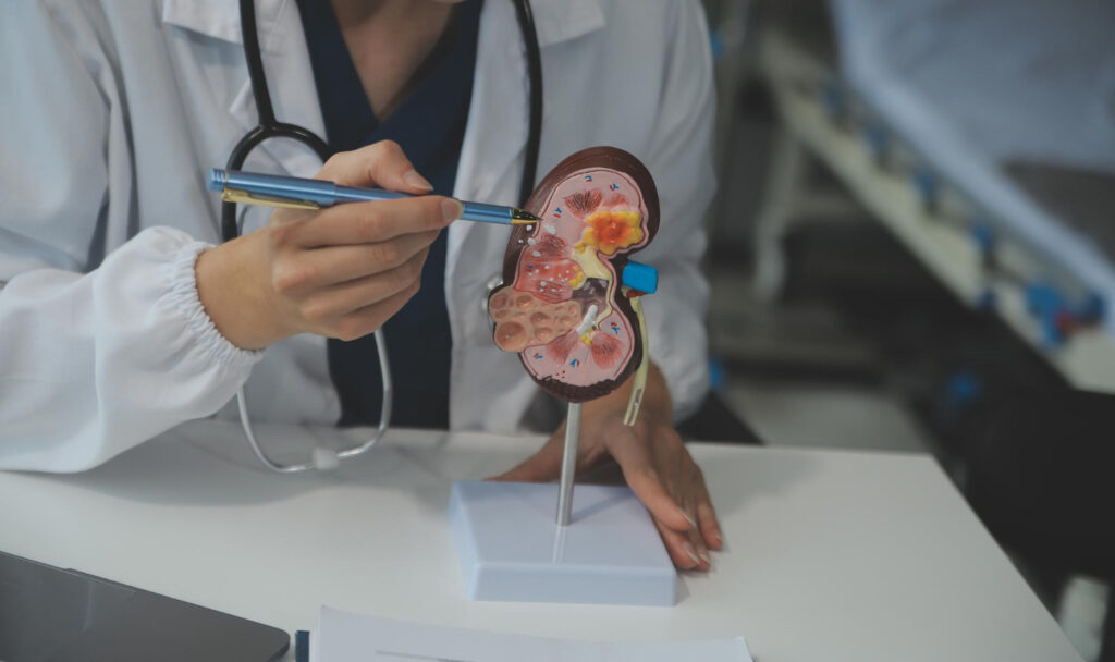 UROLOGY & NEPHROLOGY